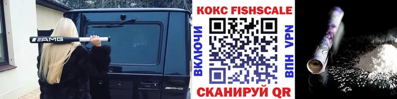 Купить закладки  Североморск  Кокаин Fish Scale 
