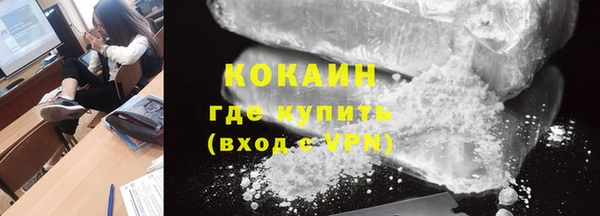 крисы Бородино