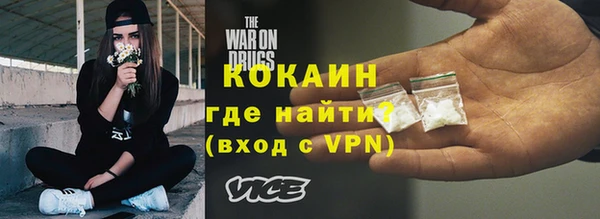 крисы Бородино