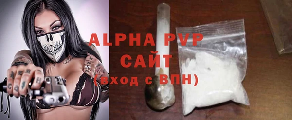 крисы Бородино