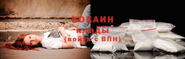 прущие грибы Бугульма