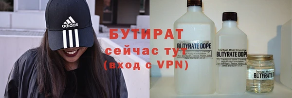 крисы Бородино