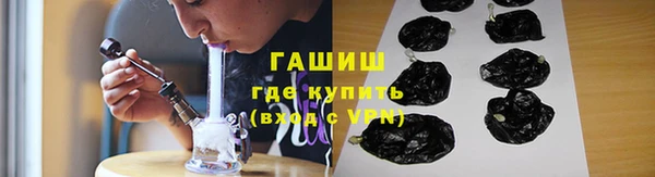 крисы Бородино