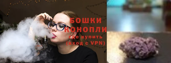прущие грибы Бугульма