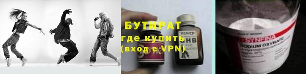 крисы Бородино
