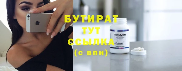 крисы Бородино