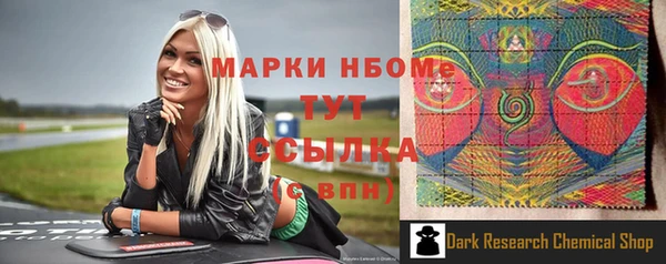 крисы Бородино