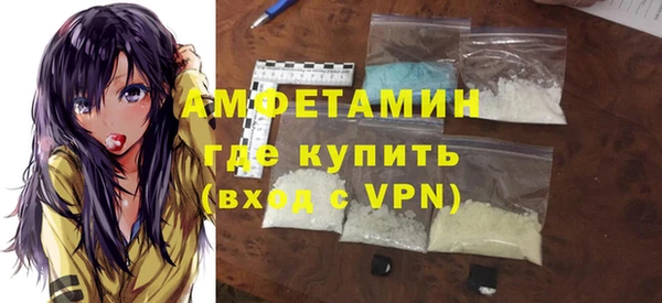крисы Бородино