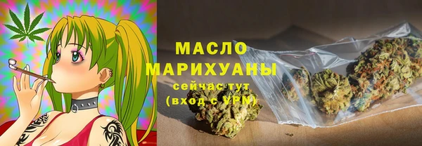 крисы Бородино